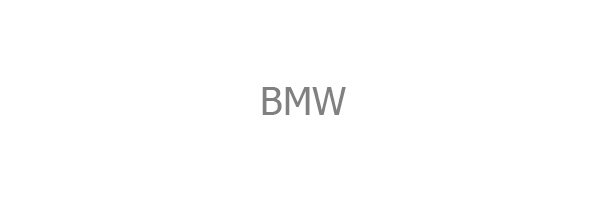 SWRA BMW