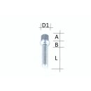 SCC Spurverbreiterung 20 mm (2×10 mm) 5×112 / 66,6 mm silber eloxiert inkl. Radschrauben für Audi 5x112 66,6