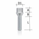 20mm 2x10mm Spurverbreiterung SCC für BMW LK 5x120 NLB 72,6mm mit Radschrauben