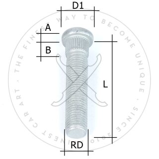 RÃ¤ndelbolzen M12 x 1,5 L60 fÃ¼r Spurplatten