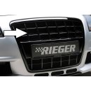 Rieger Grill mit integrierter Kennzeichenauflage für...
