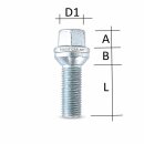 SCC Spurverbreiterung Set VA 20mm / HA 30mm Cupra Tavascan 19"