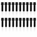 SCC Spurverbreiterung Set Schwarz + Radschrauben VA 20mm HA 30mm Cupra